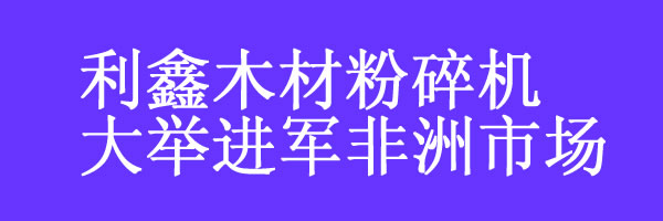 利鑫拓展非洲市场