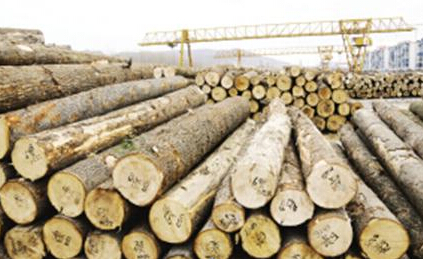木材经济效益